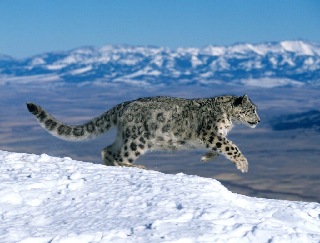 Groepsreis kirgizië - Rondreis kirgizië - groepsreis in 10 dagen kirgizië