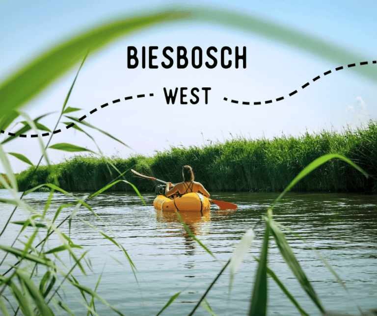 groepsreis Biesbosch’ ‘Biesbosch weadventures’ ‘rondreis Biesbosch’.