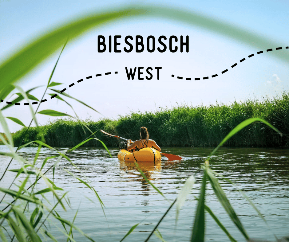 groepsreis Biesbosch’ ‘Biesbosch weadventures’ ‘rondreis Biesbosch’.
