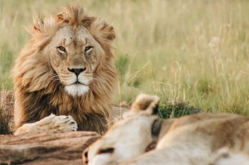 groepsreis zuid afrika - rondreis zuid afrika