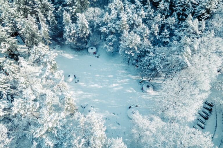 Yurtavontuur Winterwoods - microavontuur yurt - microavontuur Drenthe - groepsreis WeAdventures