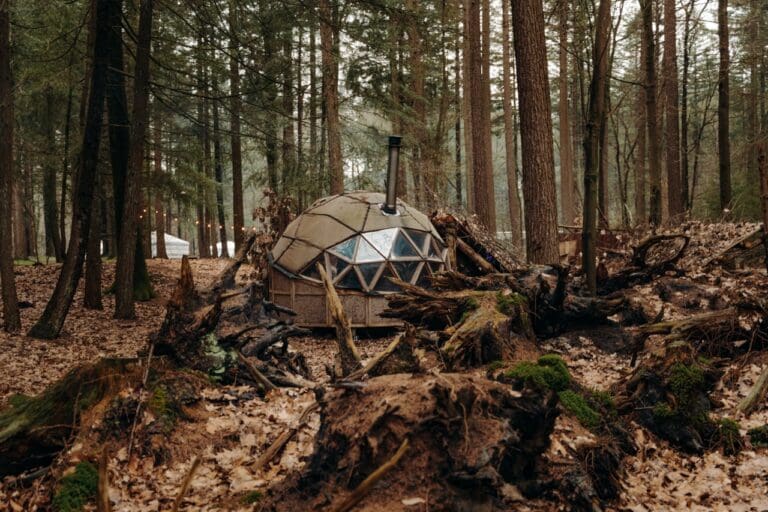 Yurtavontuur Winterwoods - microavontuur yurt - microavontuur Drenthe - groepsreis WeAdventures