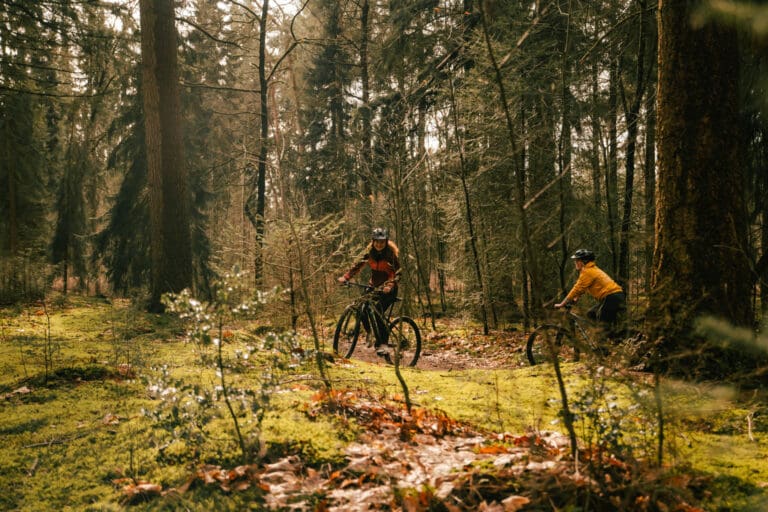 Yurtavontuur Winterwoods - microavontuur yurt - microavontuur Drenthe - groepsreis WeAdventures