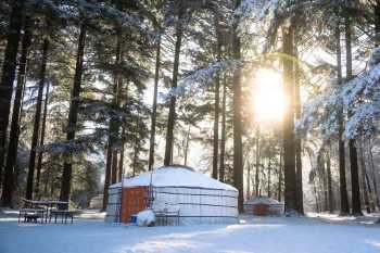 groepsreis winterwoods