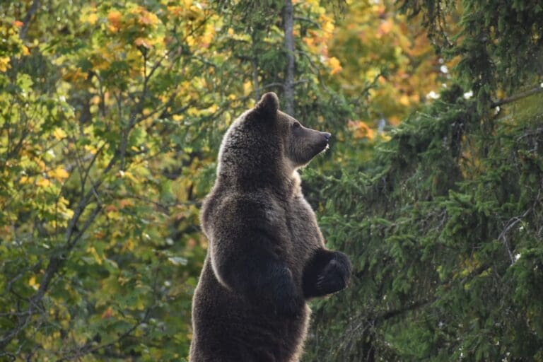 Groepsreis Zweden - Rondreis Zweden - Beste reistijd zweden