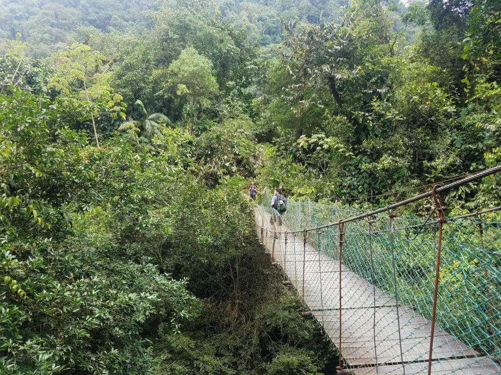 groepsreis colombia - rondreis colombia - cocora valley colombia - weadventures colombia - lost city colombia