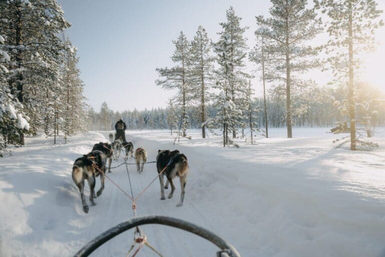 Lapland Trail - Lapland Actief - Groepsreis Lapland