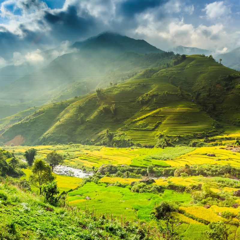 groepsreis Vietnam - rondreis Vietnam - Vietnam reis