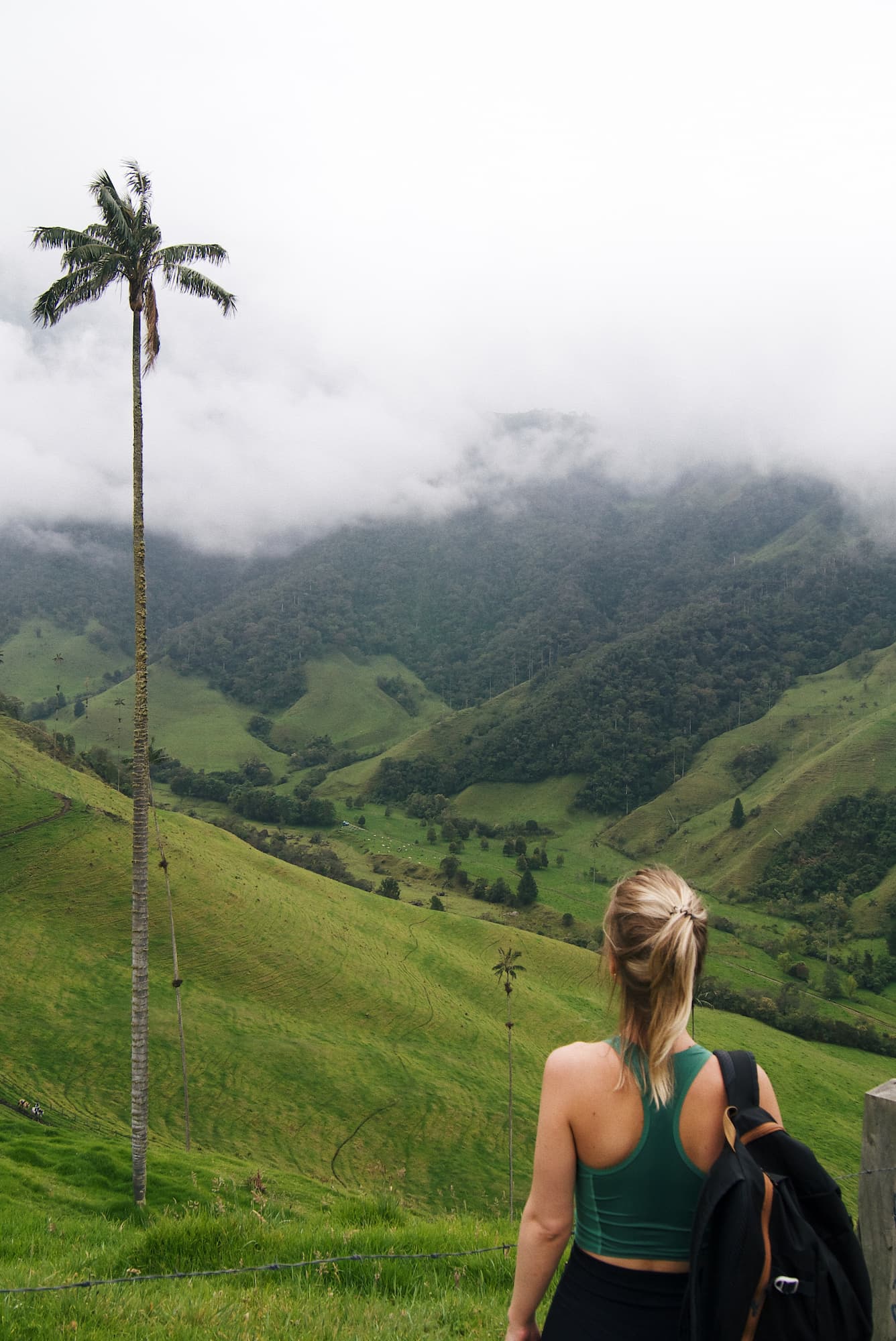 beste reistijd colombia - groepsreis colombia - rondreis colombia - backpacken colombia