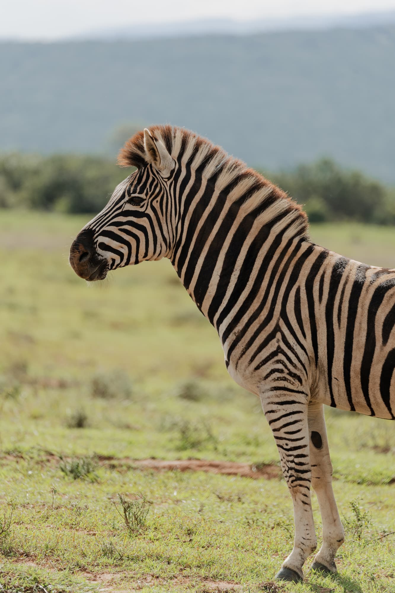 groepsreis zuid afrika - rondreis zuid afrika
