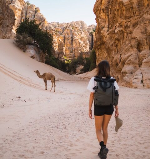 Groepsreis in Jordanië - Solo reis in Jordanië - Wadi Rum - Woestijn