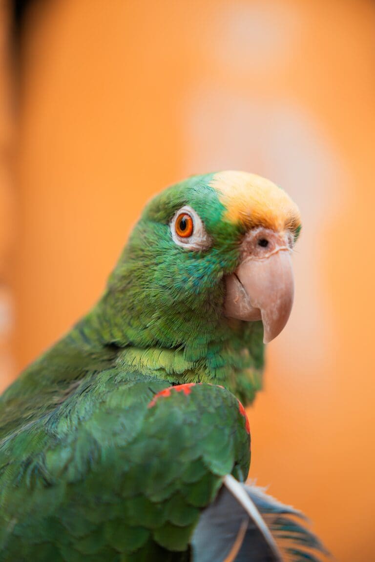 Groepsreis Colombia - reizen Colombia - Rondreizen Colombia - 22 daagse rondreis Colombia - Soloreizen in Colombia