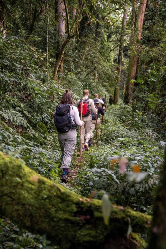 Groepsreis Oeganda - Rondreis Oeganda - 16 daagse rondreis Oeganda