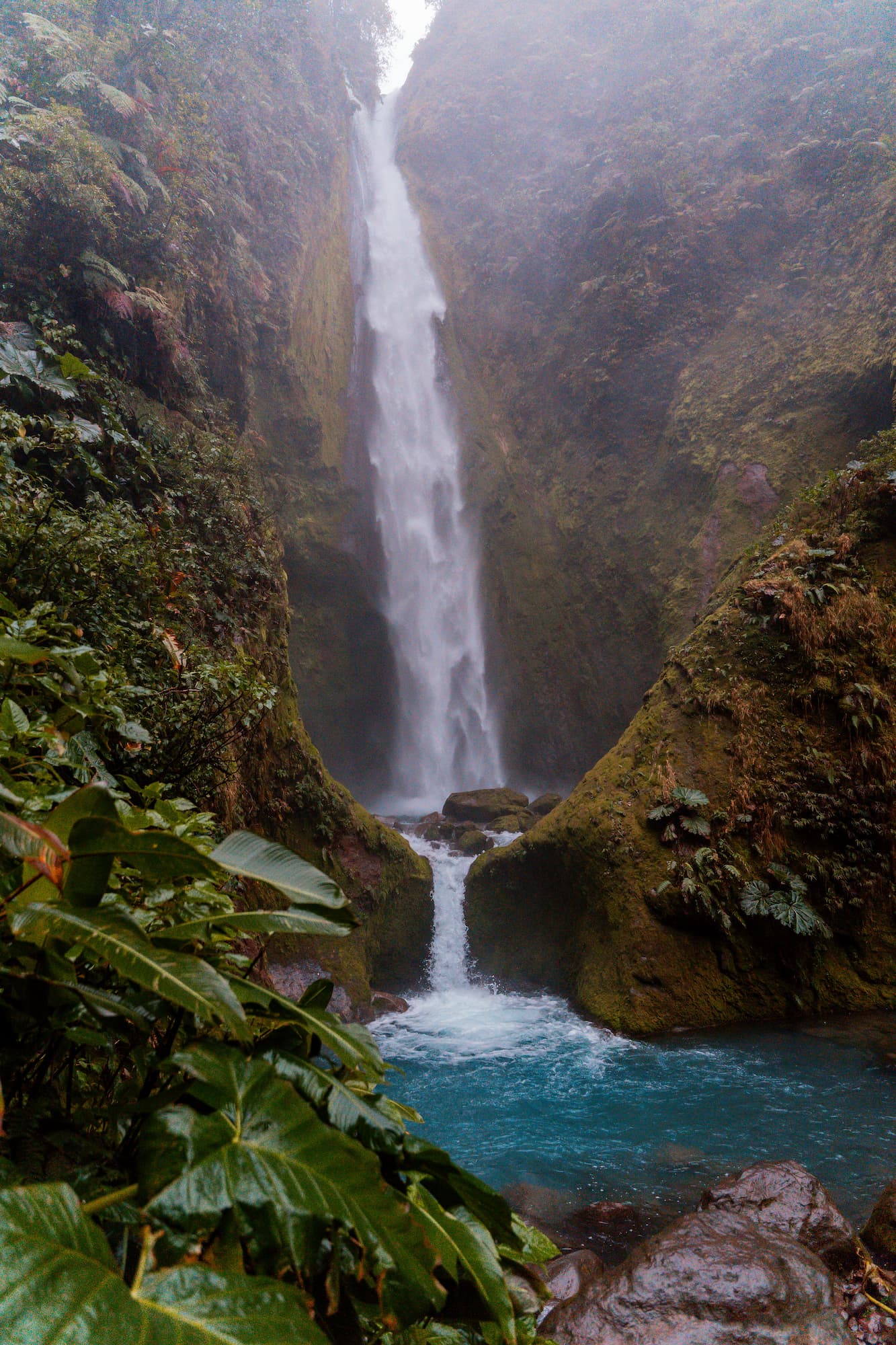 Groepsreis Costa Rica - Ultieme reisroute door Costa Rica