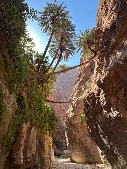 Groepsreis in Jordanië - Solo reis in Jordanië - Wadi Rum - Woestijn
