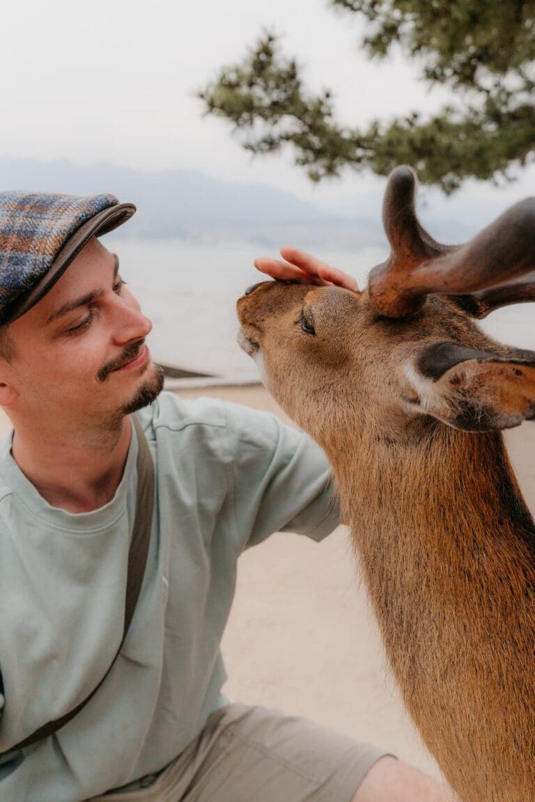 groepsreis japan - beste reistijd japan - rondreis japan