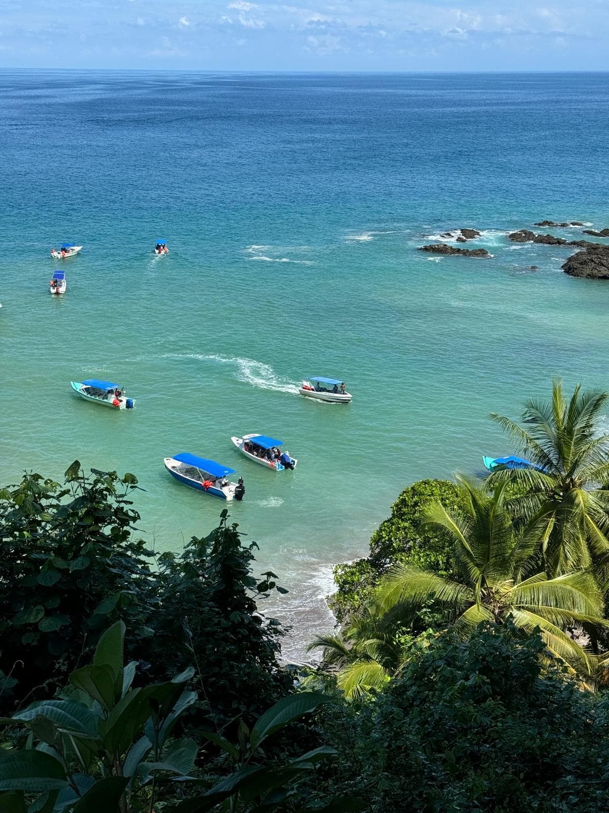 Groepsreis Costa Rica - Twee weekse rondreis Costa Rica - Avontuur Costa Rica - Cano Island Snorkeltrip