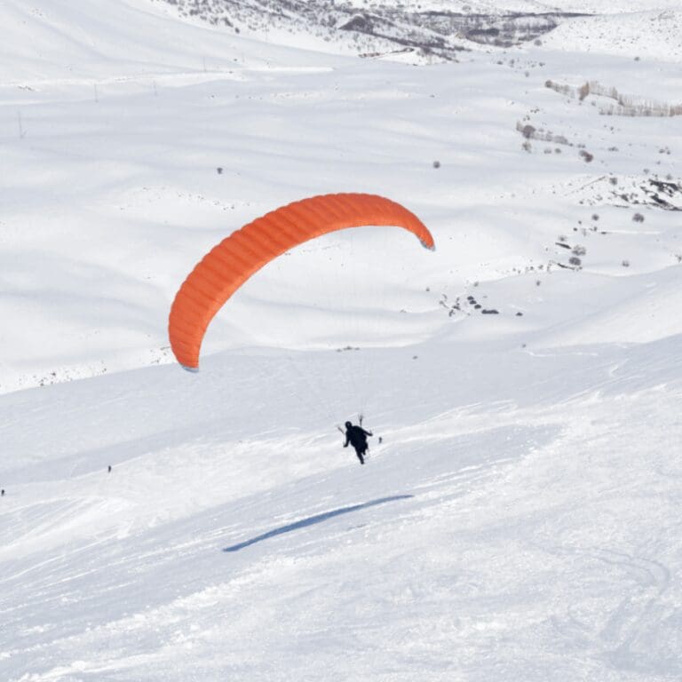 Groepsreis Franse Alpen - Skireis - Soloskireis - Solo Skiën - Solo Snowborden - Alpes D'Huez