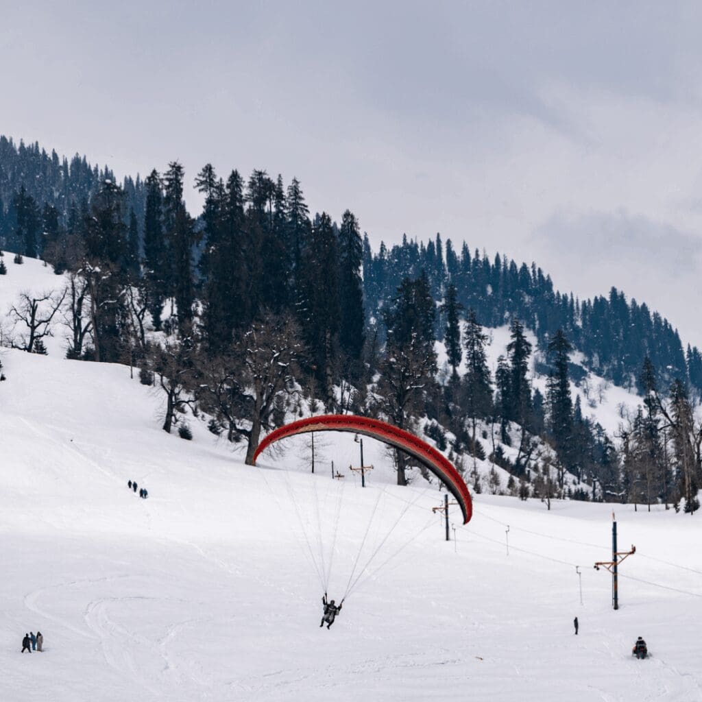 Groepsreis Franse Alpen - Skireis - Soloskireis - Solo Skiën - Solo Snowborden - Alpes D'Huez - Parapente