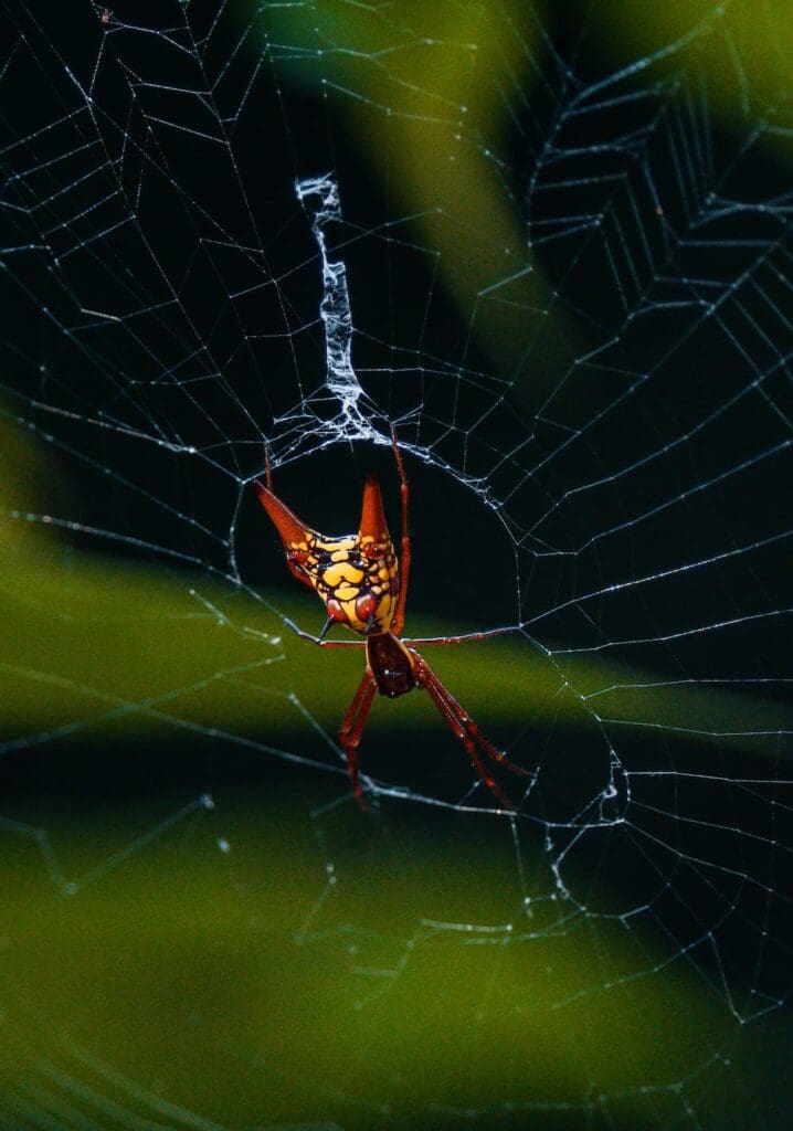 Groepsreis Costa Rica - Tweewekse Costa Rica reis- Avontuurlijk Costa Rica