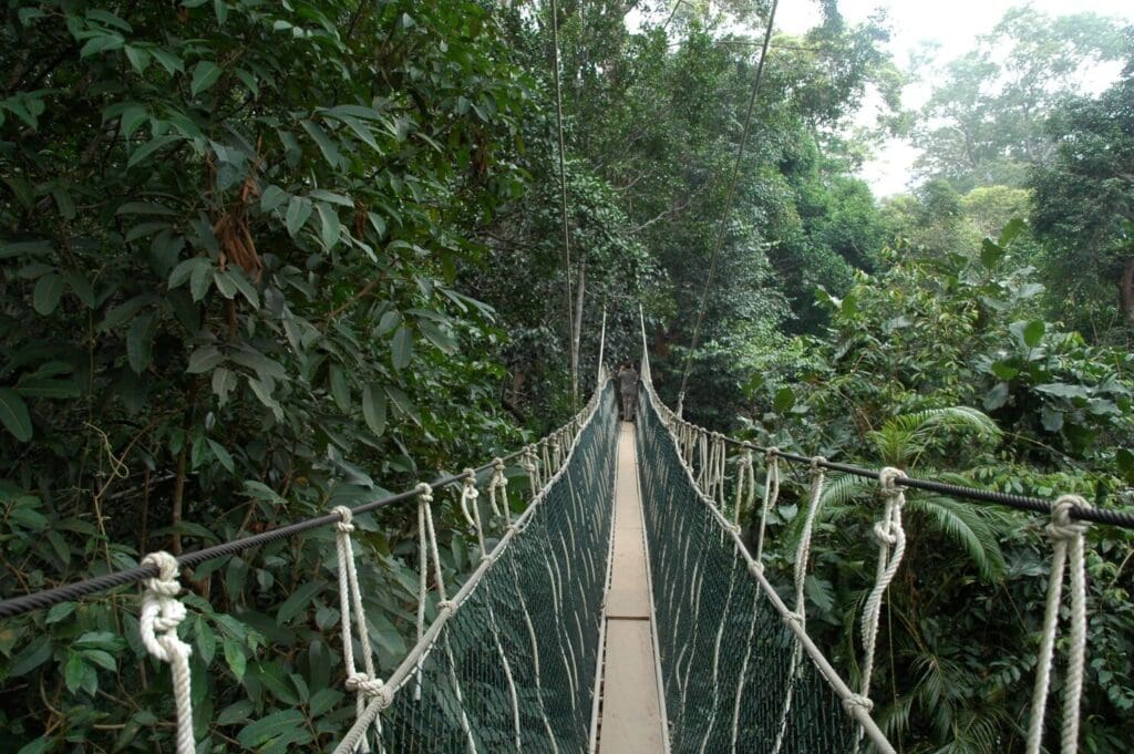 groepsreis Maleisië & Singapore - rondreis Maleisië & Singapore - Maleisië & Singapore reis