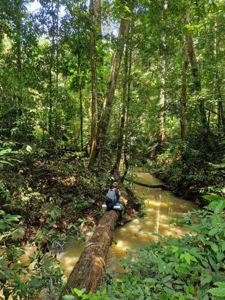 groepsreis Maleisië & Singapore - rondreis Maleisië & Singapore - Maleisië & Singapore reis