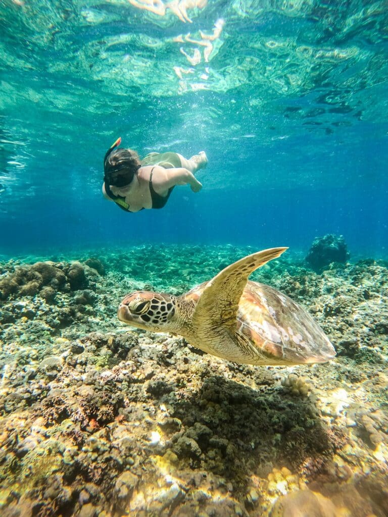 Groepsreis Bali - Beste reistijd Bali - Beste periode Bali - Doorreis Bali - Nusa Penida - Gili Islands - Gili Trawangan - Natuur in Bali - Vakantie in Bali - Beste reistijd Bali - Klimaat Bali