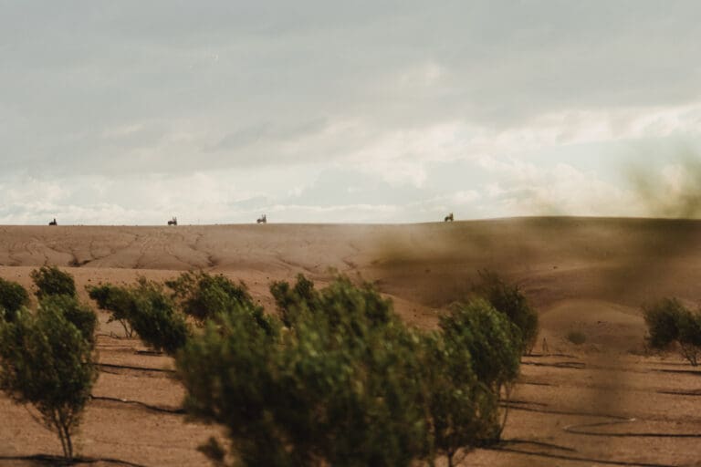 Groepsreis Marokko - Marokko reis - Rondreis Marokko - Soloreis Marokko