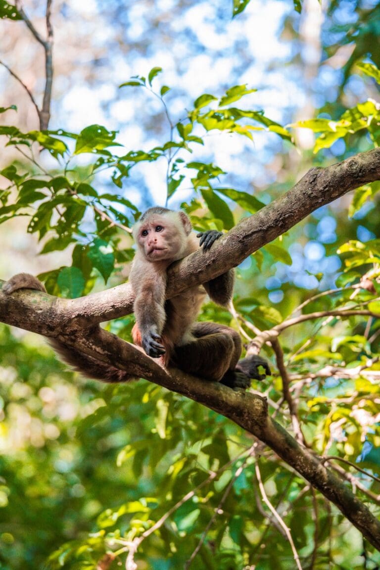 groepsreis colombia - rondreis colombia - cocora valley colombia - weadventures colombia
