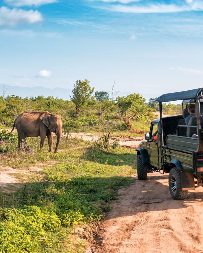 Groepsreis Zuid-Afrika - Rondreis Zuid-Afrika - Zuid-Afrika Soloreis