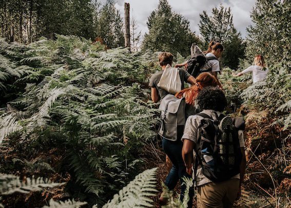 Groepsreis Nordic Woods - Groepsreis Glamping Zweden - Groepsreis glamping - Groepsreis Zweden