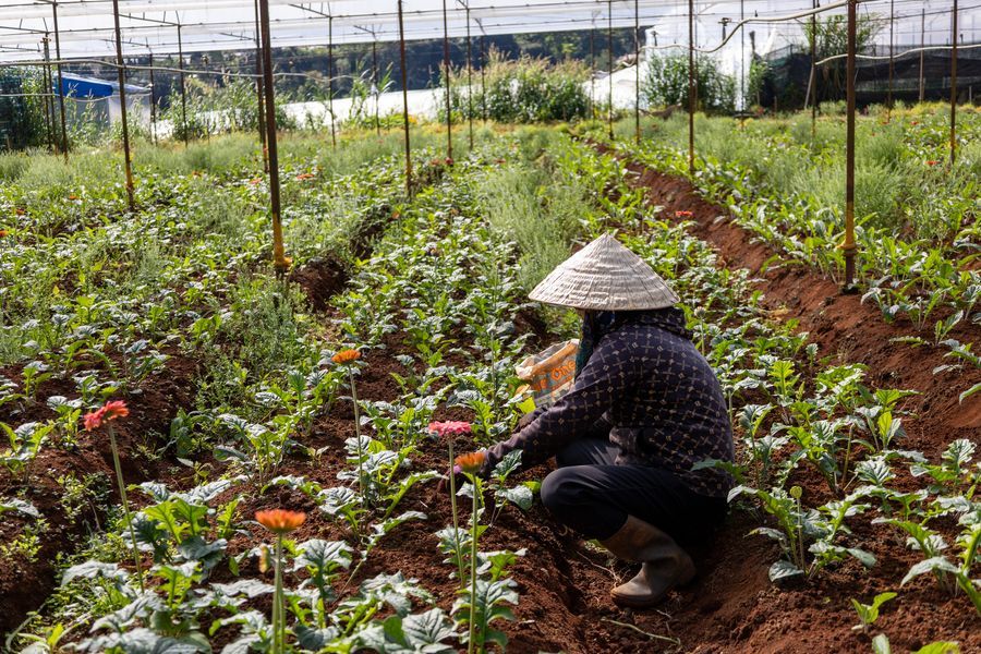 Groepsreis Vietnam - weadventures Vietnam - rondreis Vietnam