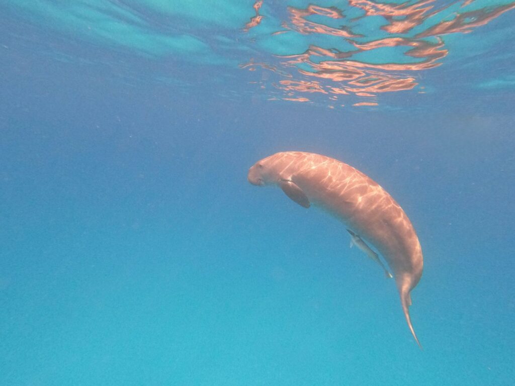 groepsreis Filipijnen - rondreis Filipijnen - Filipijnen reis