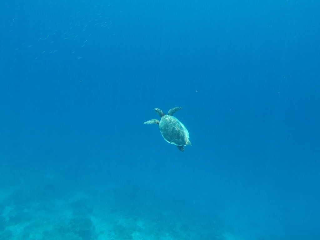 groepsreis Filipijnen - rondreis Filipijnen - Filipijnen reis